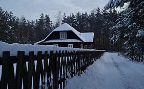 Sosnowy Domek
